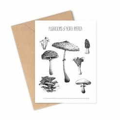 Greeting Cards By Brittany Finch Gift Ideas