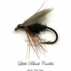 Dette Flies Walt Dette Project