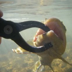 Rising - Special Blend Lippa4Life