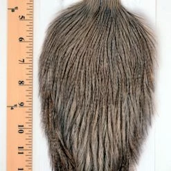 Tailing Whiting Farms - Coq De Leon Rooster Capes