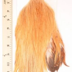 Dry Fly Capes Metz Cock Neck