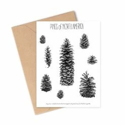 Greeting Cards By Brittany Finch Gift Ideas