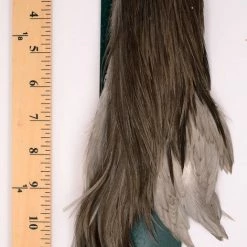 Dry Fly Capes Metz 1/2 Cock Neck