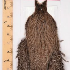 Whiting Farms - Coq De Leon Hen Capes