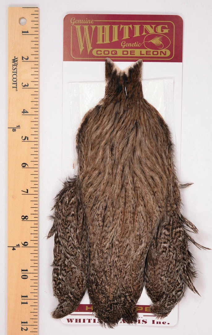 Whiting Farms - Coq De Leon Hen Capes 2 Whiting Farms - Coq De Leon Hen Capes