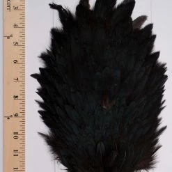 Sideling Hill Hen Saddles