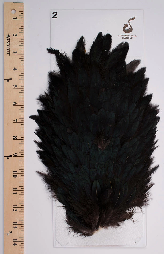 Sideling Hill Hen Saddles 2 Sideling Hill Hen Saddles