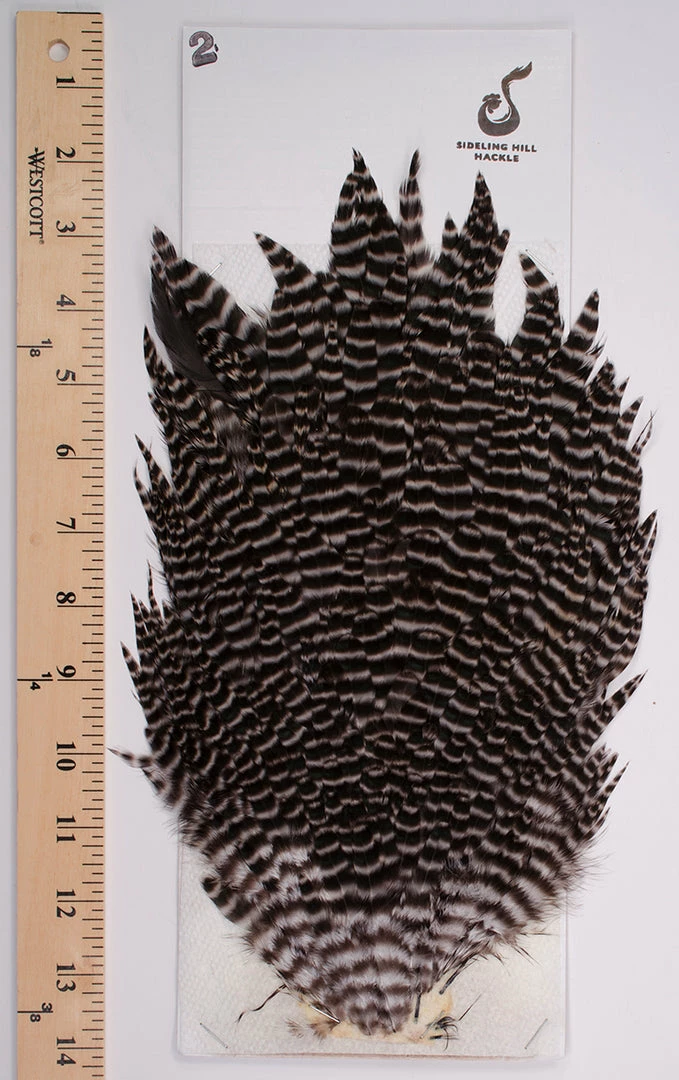 Sideling Hill Hen Saddles 1 Sideling Hill Hen Saddles