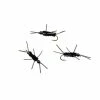 Dette Flies Nymphs Girdle Bug Nymph (Black)