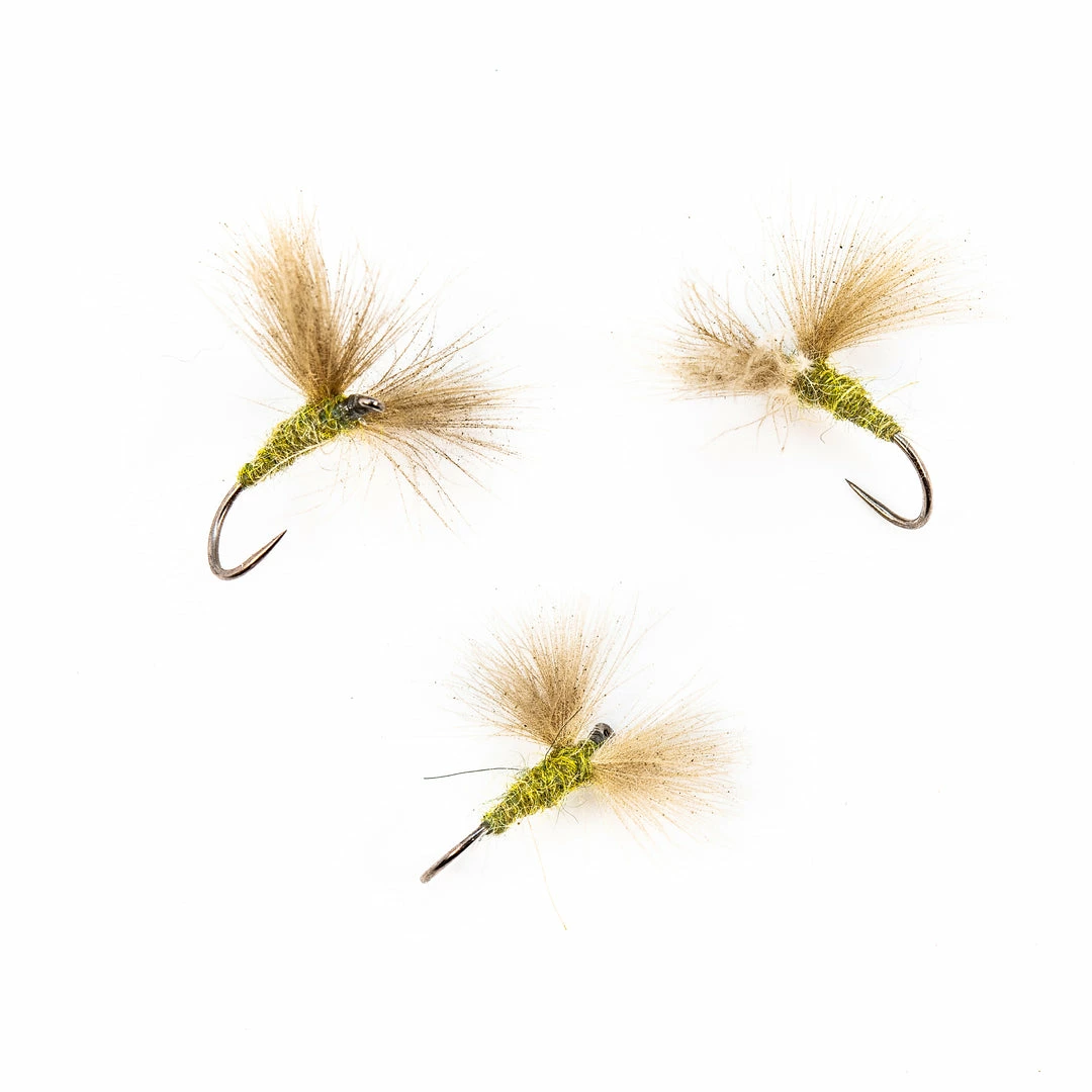 Dette Flies BWO CDC Knock Down Dun 1 Dette Flies BWO CDC Knock Down Dun