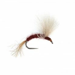 Dette Flies Isonychia CDC Emerger