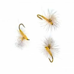 Dette Flies Parachutes Dorothea Parachute