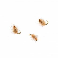 Dette Flies Fur Fire Ant