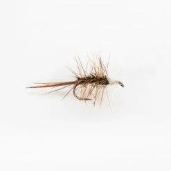 Dette Flies Katterman Traditional Dries