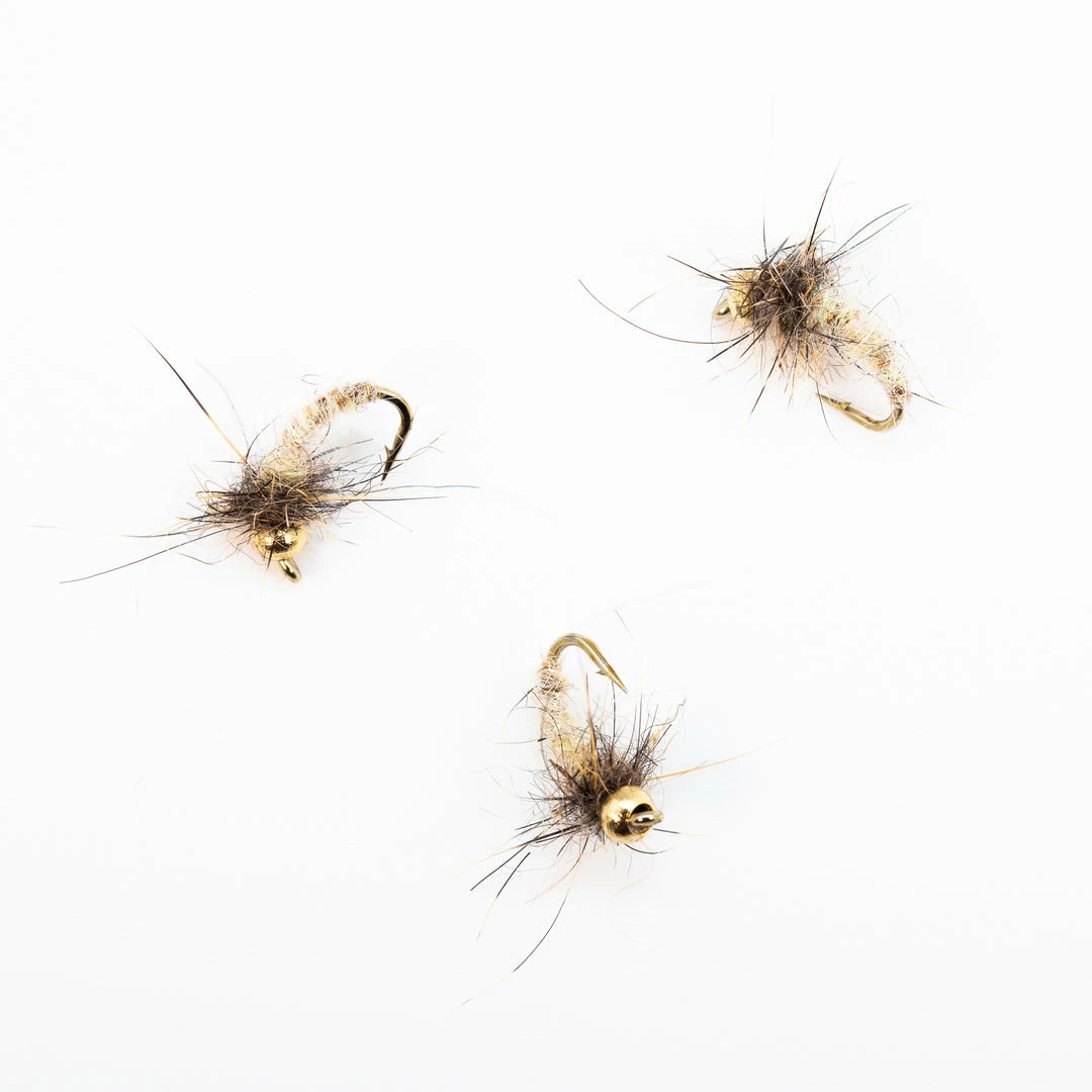 Dette Flies Nymphs MH's Cream Caddis Pupa 1 Dette Flies Nymphs MH's Cream Caddis Pupa