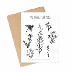 Greeting Cards By Brittany Finch Gift Ideas