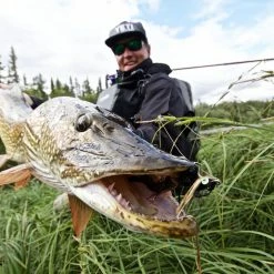 Fly Rods Thomas & Thomas Exocett Predator Fly Rod 5 Fly Rods Thomas & Thomas Exocett Predator Fly Rod