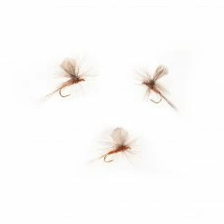 Dette Flies Red Quill Sailwing Parachute Parachutes