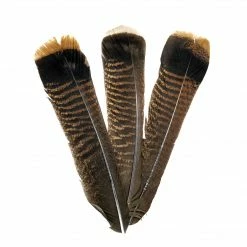 Dette Flies Dette Natural Wild Turkey Herl