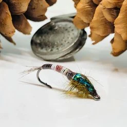 Quills & Biots Semperfli True Peccary Quills Synthetic