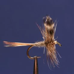 Dette Flies Adams Traditional Traditional Dries