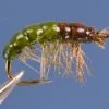 Dette Flies S.N.'s Alder Larva