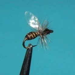 Winging 25% Off - Reel Wings - Ant Wings