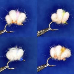 Dette Flies Blood Dot Egg