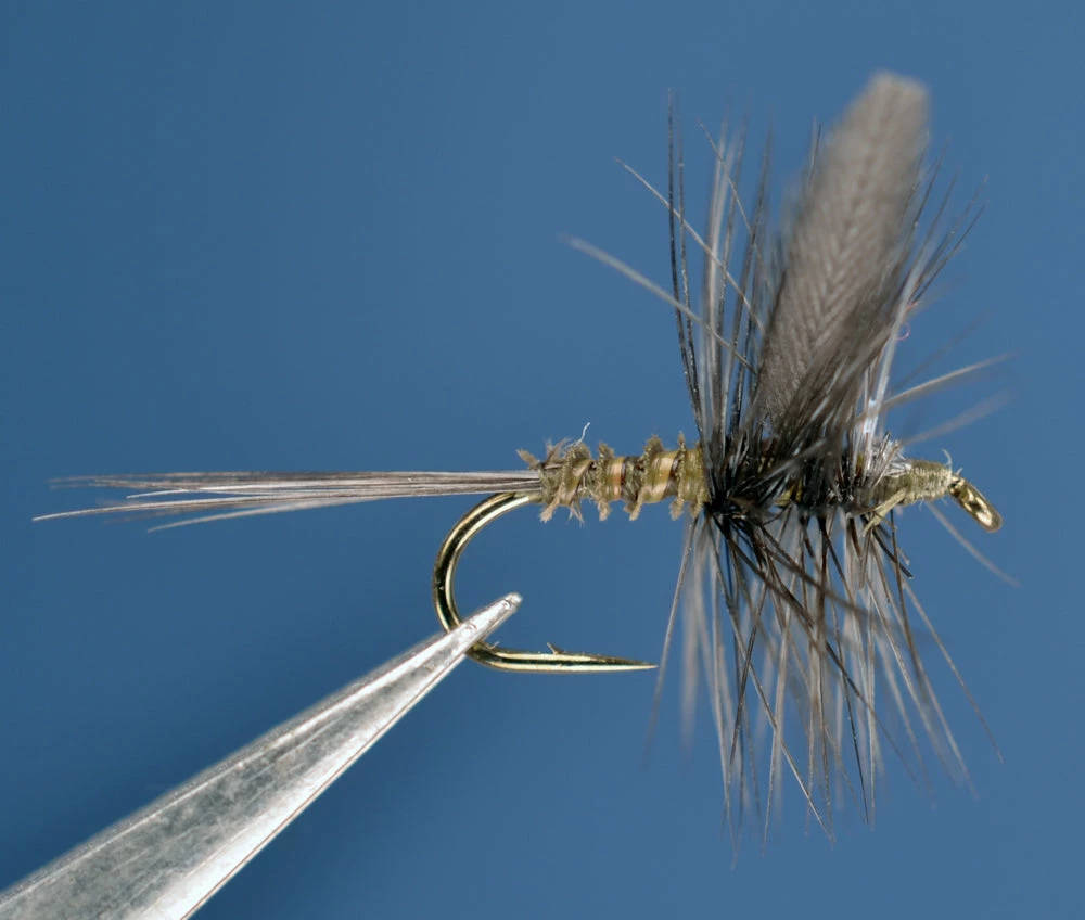 Dette Flies Blue Wing Olive Traditional, Biot Body 1 Dette Flies Blue Wing Olive Traditional, Biot Body