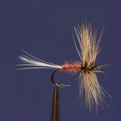 Dette Flies Conover Traditional Dries