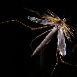 25% Off - Reel Wings - Daddy Wings