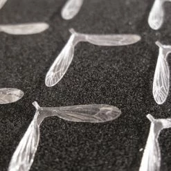 25% Off - Reel Wings - Daddy Wings