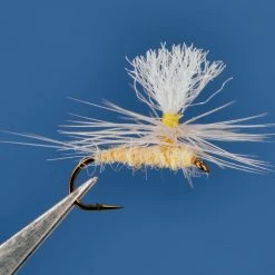 Dette Flies Parachutes Dorothea Parachute