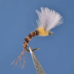 Dette Flies Dorothea CDC Trans Emerger