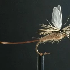 25% Off - Reel Wings - Dun Wings Winging