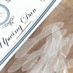 25% Off - Reel Wings - Dun Wings Winging