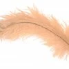25% Off - Ostrich Plume By Rumpf Ostrich & Emu