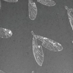 Winging 25% Off - Reel Wings - Flat Wings