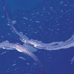 Royal Wulff Fluorocarbon Leader Leaders