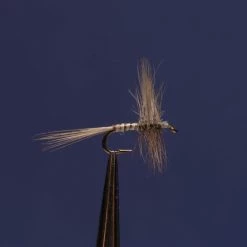 Dette Flies Traditional Dries Blue Quill (Paralep) Traditional