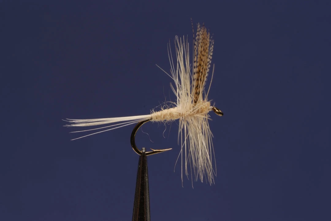 Dette Flies Traditional Dries Light Cahill Traditional 1 Dette Flies Traditional Dries Light Cahill Traditional