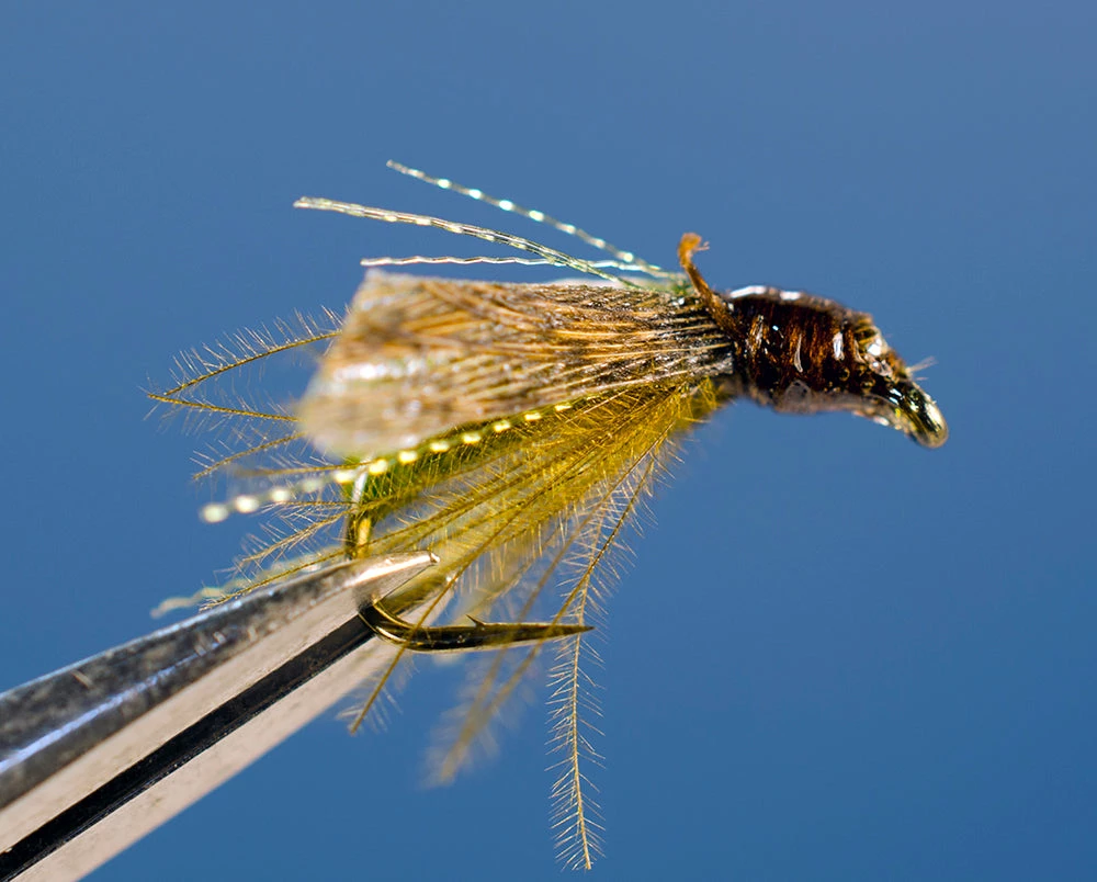 Dette Flies S.N. Green Caddis Pupa Nymphs 1 Dette Flies S.N. Green Caddis Pupa Nymphs