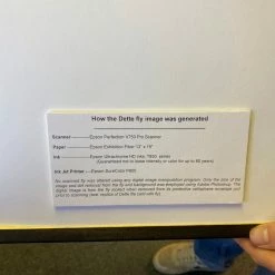 Dette Flies Walt Dette Project