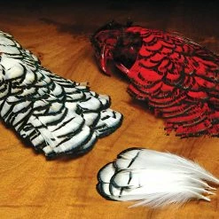 Hareline Lady Amherst Heads