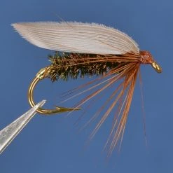 Dette Flies Winged Wets Leadwing Coachman Wet