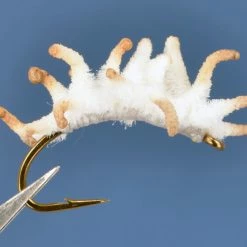 Dette Flies Maggot Cluster Terrestrials