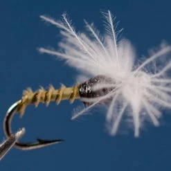 Dette Flies Mike's Olive Midge Pupa Midges & Tricos