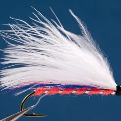 Dette Flies Montreal Whore