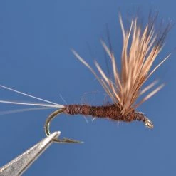 Dette Flies Paralep (Blue Quill) Comparadun