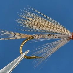 Dette Flies Quill Gordon Wet Winged Wets